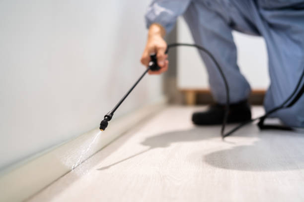 Professional exterminator conducting IPM assessment in Lawrence